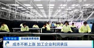 羽絨服輪番漲價 中高端產(chǎn)品還賣得更火了？